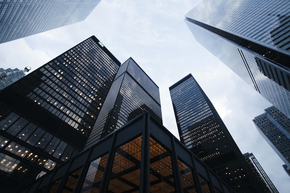 Mercado B2B — soluções para profissionais
